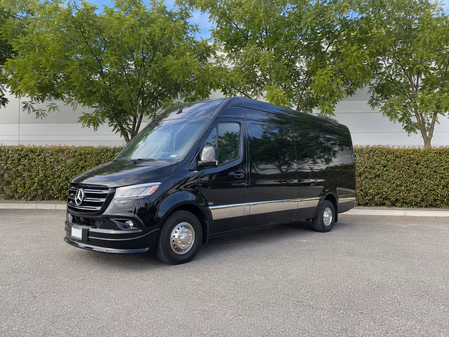sprinter vans for visalia vip wedding transfers and airport pickups