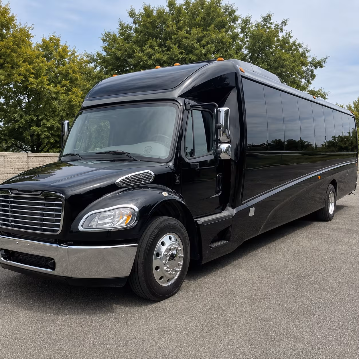 visalia 18 passenger minibus