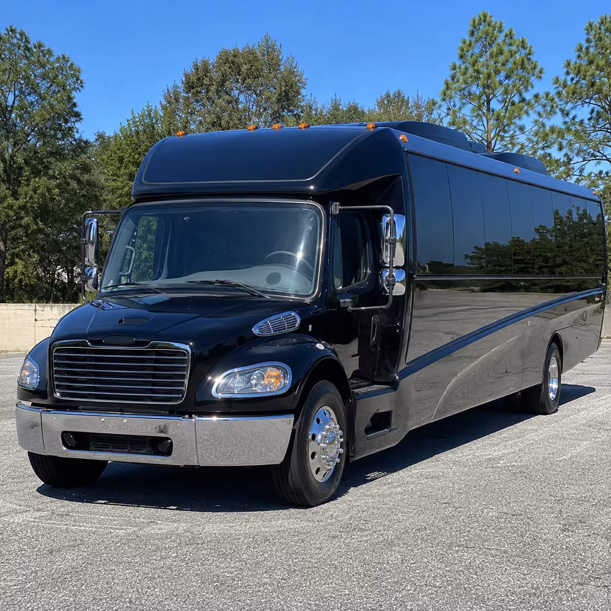 visalia 20 passenger minibus